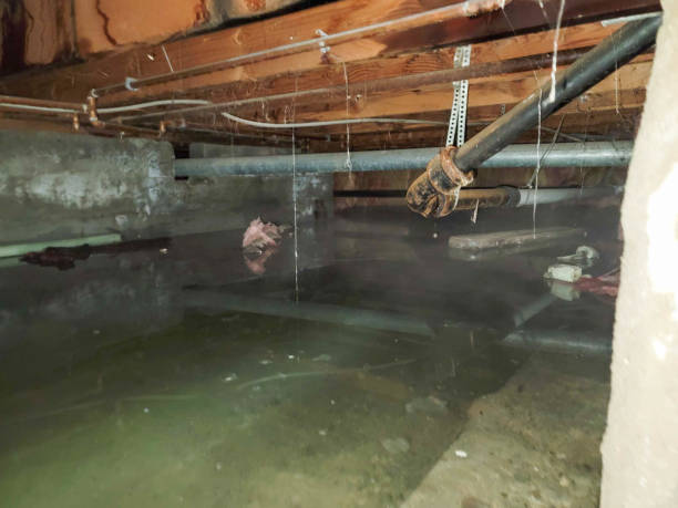 Best Wood Floor Water Damage Restoration in Norris, TN